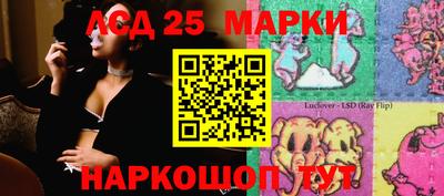 шишки Ставрополь
