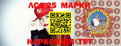 шишки Ставрополь