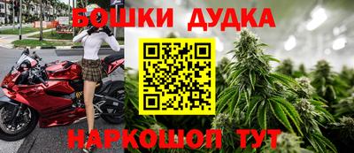 шишки Ставрополь