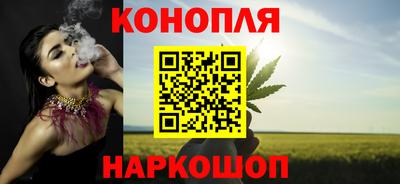 шишки Ставрополь